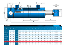 Hydraulic double acting cylinder/ 50 Bore 30  Rod 400 Stroke 600 Closed 702/4