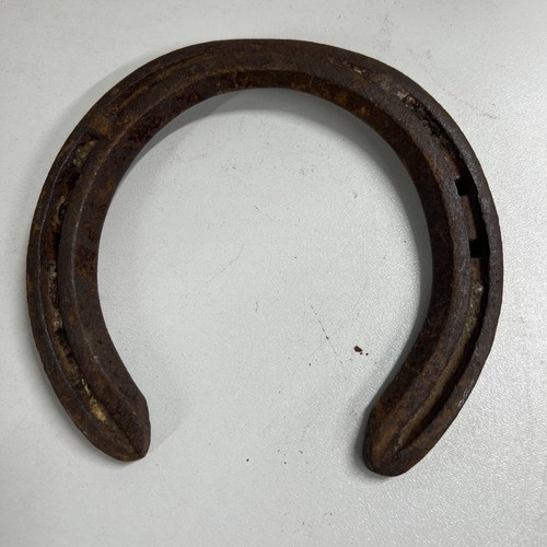 Real lucky horse shoe item - horse,