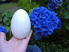 antique hand blown goose egg