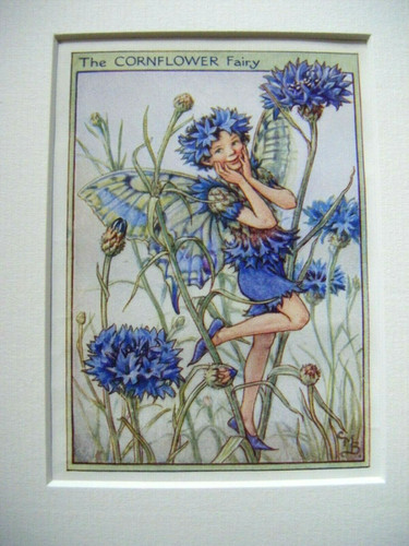 Vintage flower fairies - fairies, print