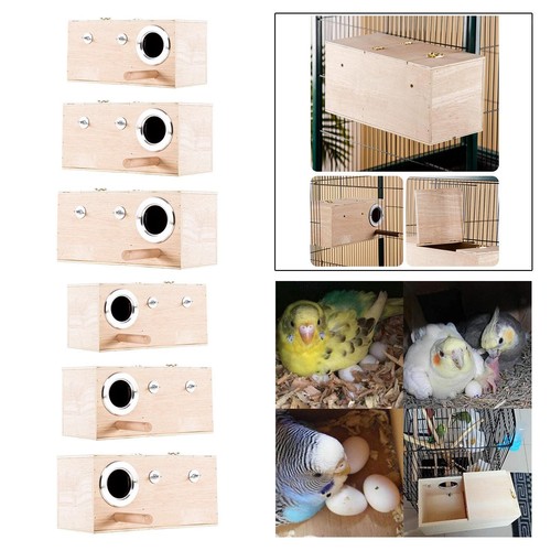 Bird nest nesting - nest,