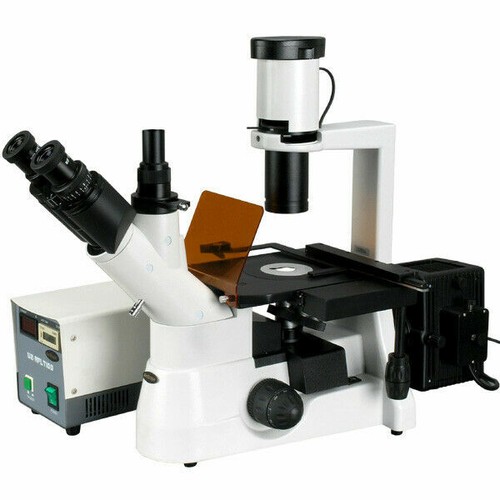 Amscope 40x 1000x plan - amscope, phase