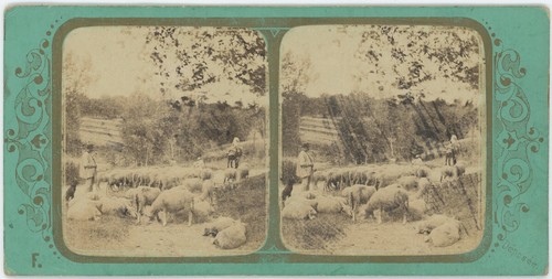 Stereoview fraget circa 1860 - stereoview,