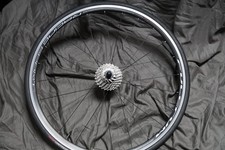Fulcrum racing sport rear - racing,
