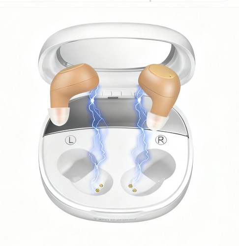 Digital hearing aid - aid, amplifiers