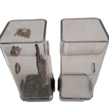 Invertebrate enclosure spider - invertebrate,