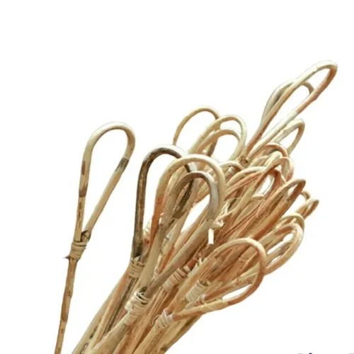 Rattan scholastic punishment - rattan,