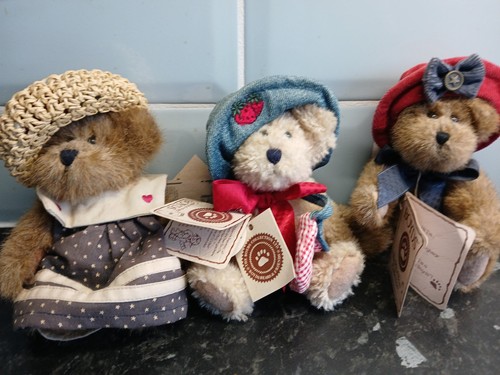 Gorgeous boyds bears head - boyds,