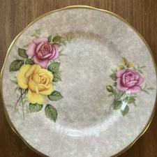 Salisbury Bone China Cup and