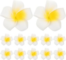 FRCOLOR Plumeria Hair