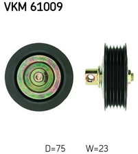 SKF VKM 61009 DEFLECTION/GUIDE
