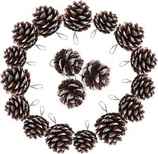 TRIXES Christmas Tree Decorations - 18PC - Hanging Pine Cones