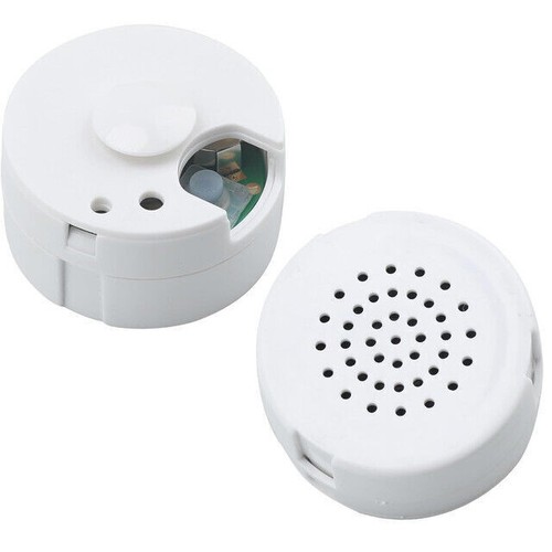 Pcs second mini voice - pcs,
