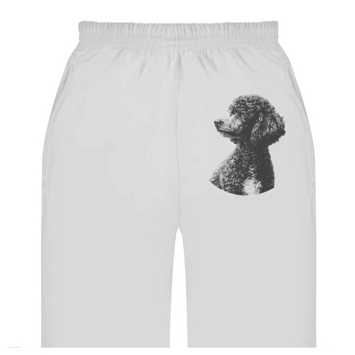 Miniature poodle portrait - 'miniature, portrait'