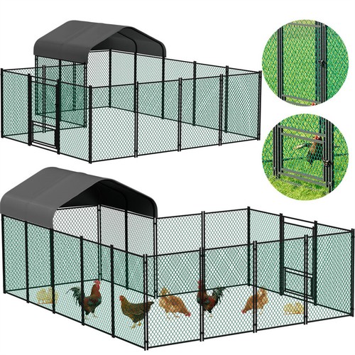Walk chicken run dense - in,
