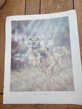 BORDER TERRIER  Paul Doyle 'Rough and Ready'  Limited Edition Print 418/500