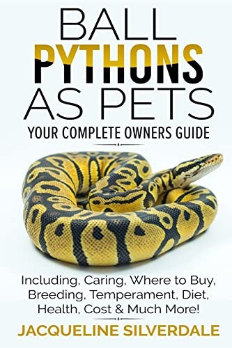 Ball pythons pets your - pythons,