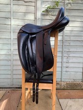 Black Country Vinici Dressage