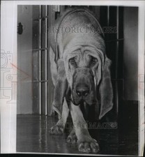 1956 Press Photo Pluto