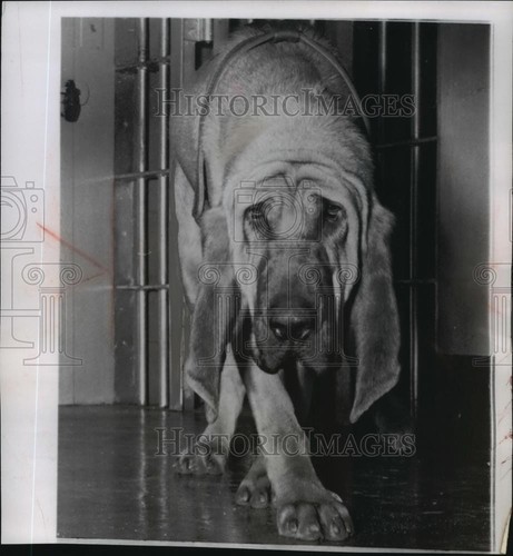 1956 press photo pluto - 1956,