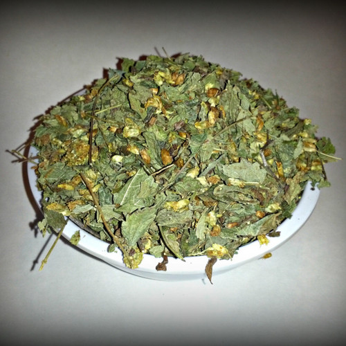 Calea zacatechichi dried - zacatechichi,