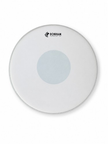 Snare drum head white - drum, dry