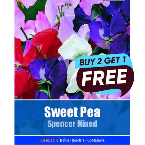 Sweet pea spencer mixed seeds - sweet,