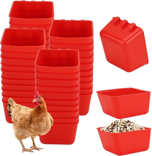 Large poultry chicken - 16,
