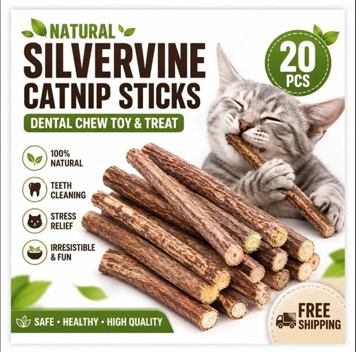 20pcs natural silvervine - natural,