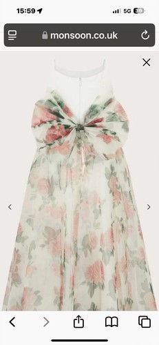 Monsoon flower girl dress plus - girl,