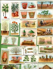 1923 WILLS CIGARETTES