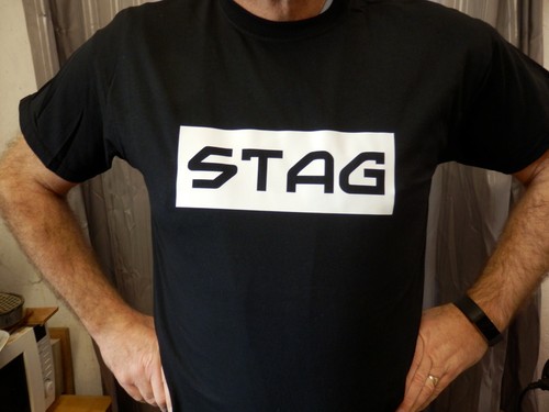 Stag party shirts shirt - stag,