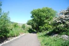 Photo 6x4 Old railway line