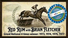 Red Rum Horse Racing