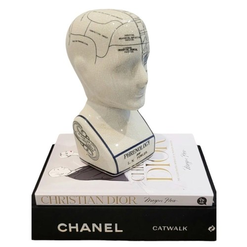 Phrenology head l n - head 9", l.n