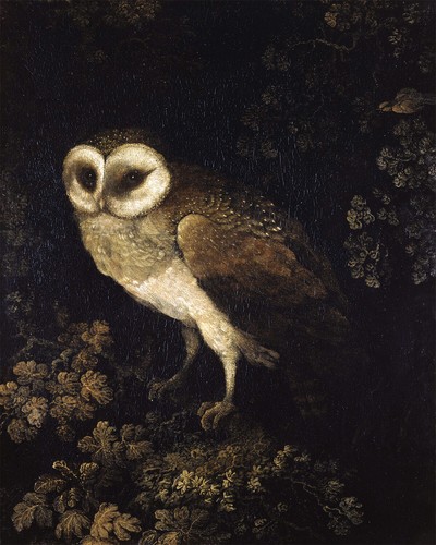 18th century owl painting - 18th,
