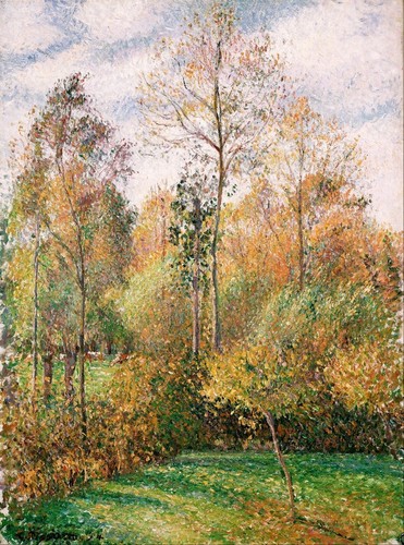 Automne peupliers éragny - peupliers,,