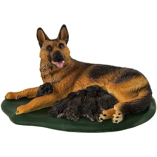 German shepherd bitch with - german,