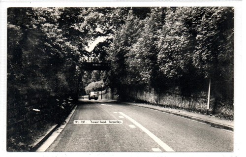 Forest road tarporley - forest, road,