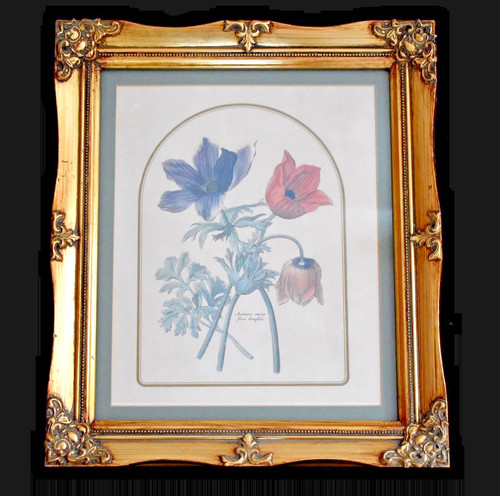 Vintage botanical floral - vintage,