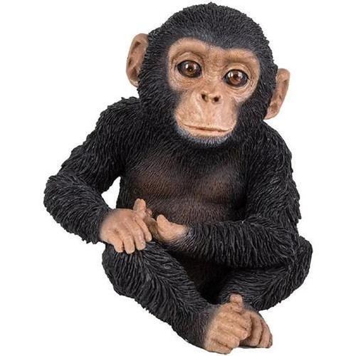 Vivid arts pet pal - vivid,