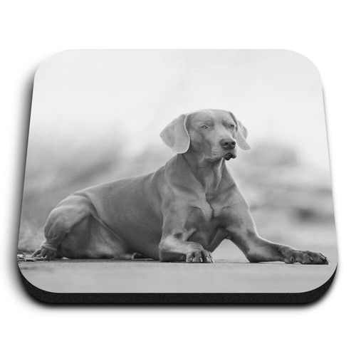 Square mdf magnets - bw,