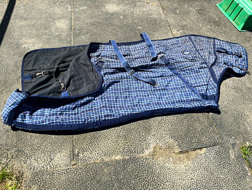 Loveson blue white - blue/white, checked