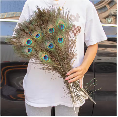 10pcs real peacock feather - peacock,