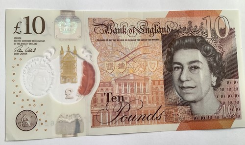 Aa30 polymer ten pound - aa30,