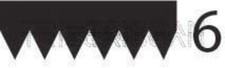 TRISCAN V-Ribbed Belt Black