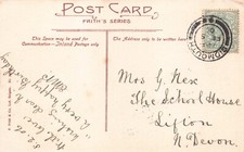 FAMILY HISTORY - GENEALOGY