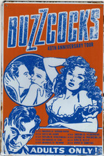 BUZZCOCKS 40th ANNIVERSARY TOUR CLASSIC ROCK MUSIC TIN SIGNS (20x30cm)