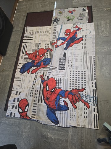 Spider man reversible - reversible, single