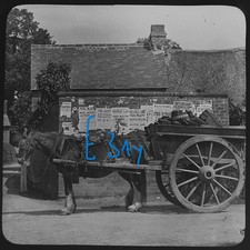 Photo HORSE AND CART C1890
